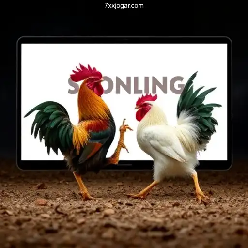 Exploring the World of Online Sabong: A Deep Dive into the Digital Cockfighting Arena